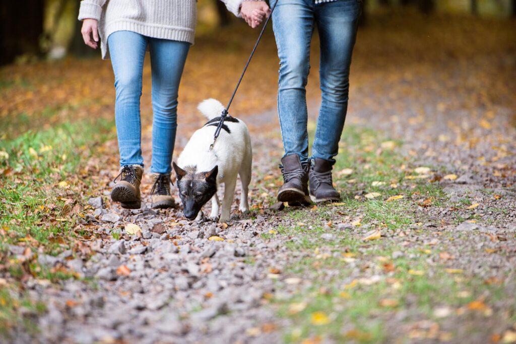 Walking in Derbyshire